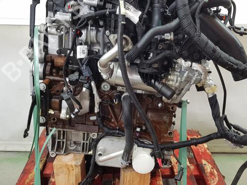 Engine FORD TRANSIT V363 Platform/Chassis (FED, FFD) | BP35765040M1 - Image 14