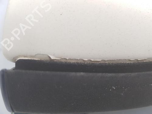 Tailgate MINI MINI (R50, R53) One | BP12903791C6 