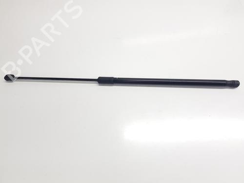Tailgate lift support SKODA KAMIQ (NW4) 1.0 TSI | BP31346142C138