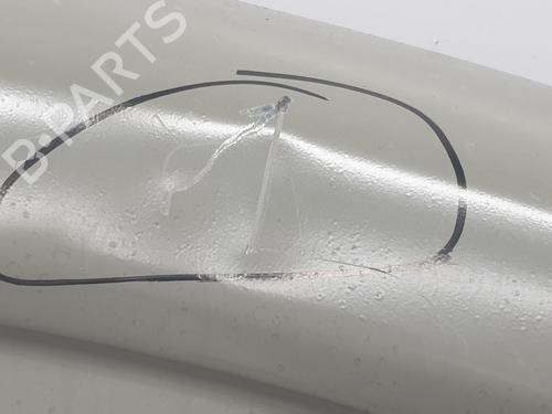 Right front door RENAULT TRAFIC III Van (FG_) 1.6 dCi 140 (FGMA, FGMC) | BP29906882C3