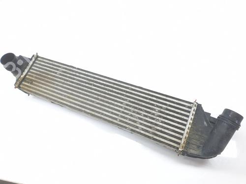 Intercooler RENAULT TRAFIC III Van (FG_)  | BP29313457M30 