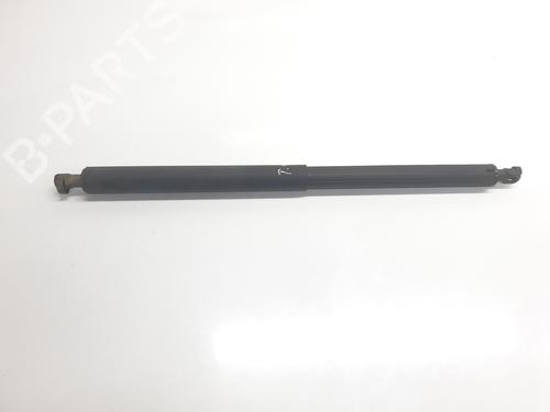 Used Tailgate lift support BMW X1 (F48) sDrive 18 d (150 hp) 22334674