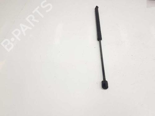 Hood lift support AUDI Q7 (4LB) 3.0 TDI quattro | BP14085041C139 