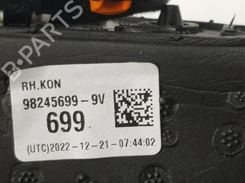 Right mirror DS DS 3 / DS 3 CROSSBACK (UR_, UC_, UJ_)  | BP17669602C27 