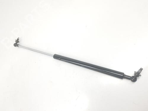 Hood lift support TOYOTA LAND CRUISER PRADO (_J12_) 3.0 D-4D (KDJ120, KDJ125) | BP16082018C139 