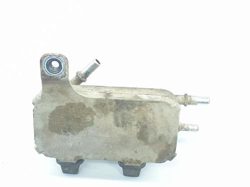 Oil radiator LAND ROVER RANGE ROVER SPORT I (L320) 3.6 D 4x4 | BP16959689M33 
