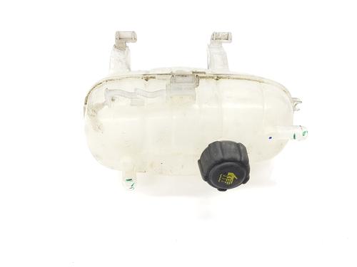Expansion tank RENAULT TRAFIC III Van (FG_)  | BP29399248C120 