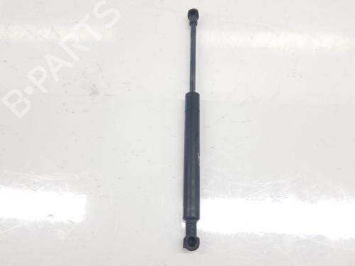 Hood lift support BMW 3 (E46) 320 d | BP14103110C139