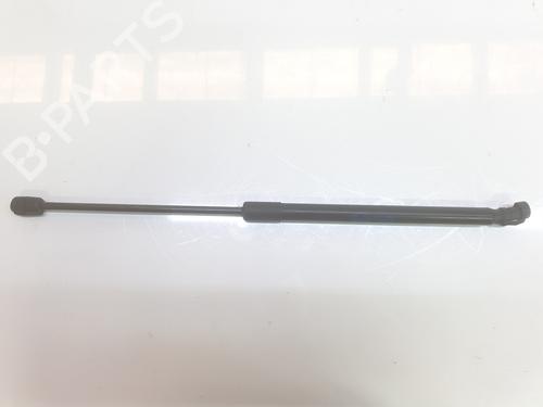 Used Hood lift support AUDI Q7 (4LB) 3.0 TDI quattro (245 hp) 14100890