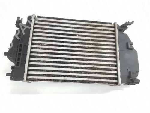 Intercooler NISSAN X-TRAIL III (T32_, T32R, T32RR) 1.6 dCi (T32) | BP6601821M30 