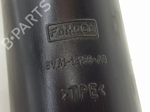 Højre bagtil støddæmper FORD KUGA II (DM2) 1.5 EcoBoost | BP34348981M19  - Image 5