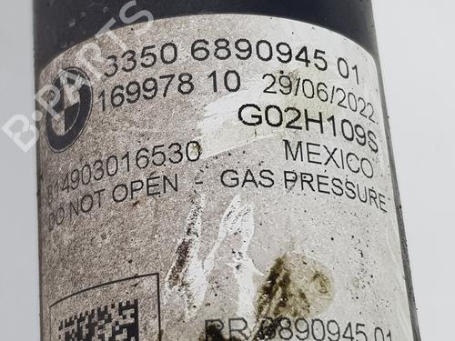 Left rear shock absorber BMW X4 (G02, F98) xDrive 20 d | BP30479588M18