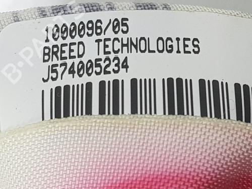 Right curtain airbag FIAT CROMA (194_) 1.9 D Multijet (194AXB1B) | BP15773088C12 