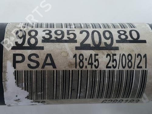 Left front driveshaft PEUGEOT EXPERT Van (V_)  | BP34040268M38  - Image 5