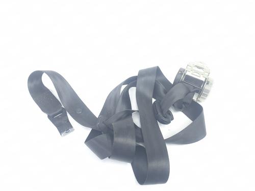 Used Rear left seatbelt LAND ROVER RANGE ROVER SPORT I (L320) 3.6 D 4x4 (272 hp) 16975421