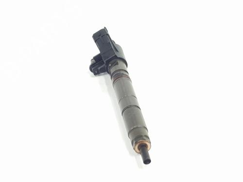 Injector LAND ROVER RANGE ROVER SPORT II (L494) 3.0 TDV6 4x4 | BP30735176M100 