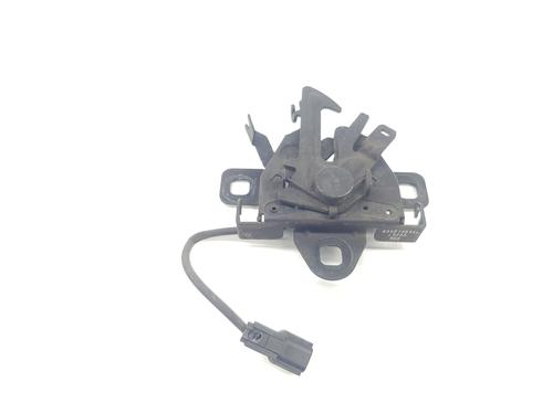 Used Hood lift support RENAULT TALISMAN (LP_) 1.6 dCi 160 (160 hp) 16992223