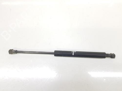 Used Hood lift support BMW 3 (E46) 320 d (150 hp) 14104259