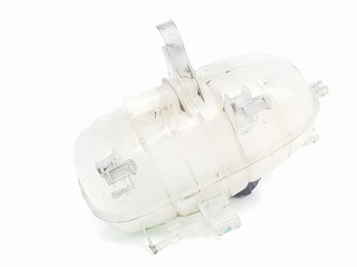 Expansion tank RENAULT TRAFIC III Van (FG_)  | BP29915113C120