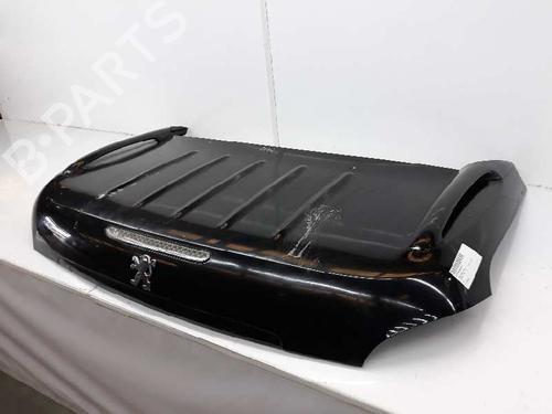 Tailgate PEUGEOT 206 CC (2D) 1.6 16V (2DNFUF, 2DNFUR) | BP1967159C6 