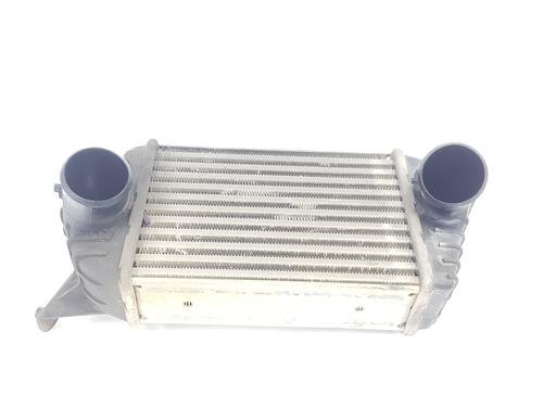 Intercooler Intercooler FIAT STILO (192_) 1.9 JTD (192_XE1A) (115 hp) 33861225 33861225