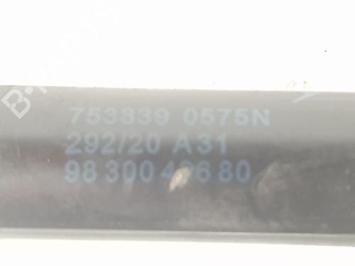 Hood lift support DS DS 7 Crossback (J4_, JR_, JC_) 1.6 PureTech 180 (J45GFR) | BP18337794C139 