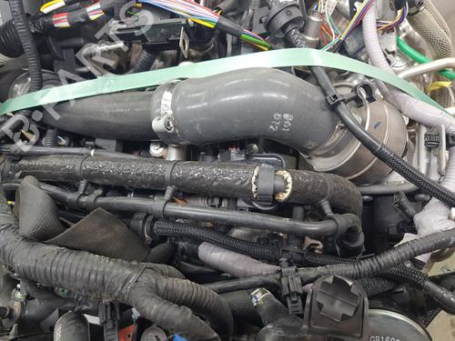 Engine RENAULT AUSTRAL  | BP34266922M1  - Image 8