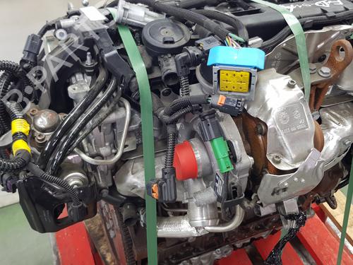 Engine PEUGEOT EXPERT Van (V_) | BP29807474M1