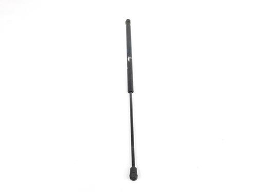 Tailgate lift support LAND ROVER RANGE ROVER SPORT I (L320) 2.7 D 4x4 | BP14110822C138 