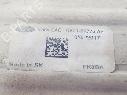 Intercooler FORD TRANSIT V363 Van (FCD, FDD)  | BP33793920M30  - Image 5