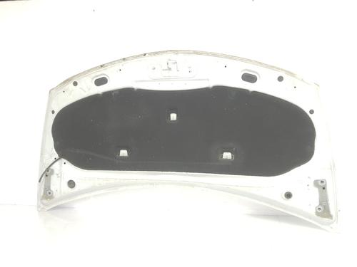 Hood RENAULT CLIO III (BR0/1, CR0/1) 1.5 dCi | BP792898C1