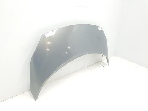 Hood RENAULT GRAND SCÉNIC II (JM0/1_) 1.5 dCi (JM02, JM13) | BP15074871C1 