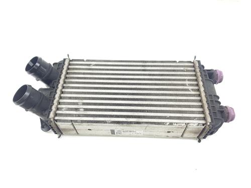 Intercooler PEUGEOT 2008 II (UD_, US_, UY_, UJ_, UR_, UC_) [2019-2026]  31258550