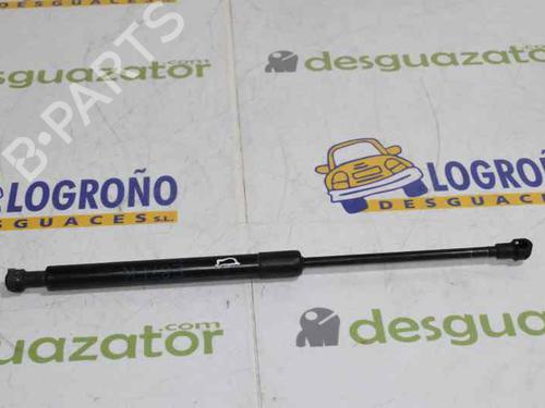 Hood lift support BMW 1 (E87) 120 d | BP14119534C139 