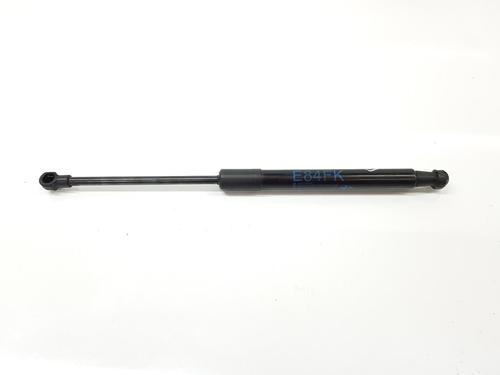 Used Hood lift support BMW X1 (E84) sDrive 20 d (177 hp) 17710912