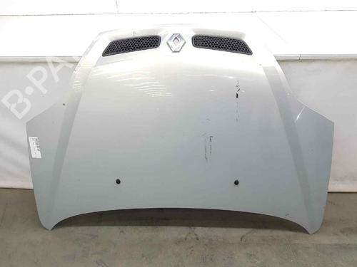 Used Hood RENAULT SCÉNIC I MPV (JA0/1_, FA0_) 1.9 dCi RX4 (102 hp) 5154253