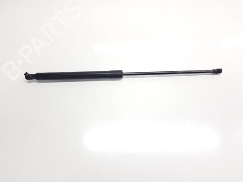 tailgate-lift-support-renault-arkana-i-lcm_-ldn_-2019-33625691 main image