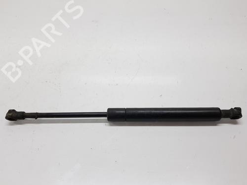 Hood lift support BMW 3 (E46) 320 d | BP20190729C139