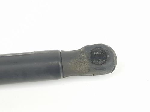 Hood lift support VW PASSAT B6 (3C2) 1.6 FSI | BP18695323C139 