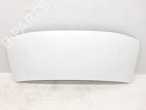 Used Hood RENAULT MASTER II Van (FD) 2.5 D (FD0A, FD0E, FD2E, FD3E) (80 hp) 29179090