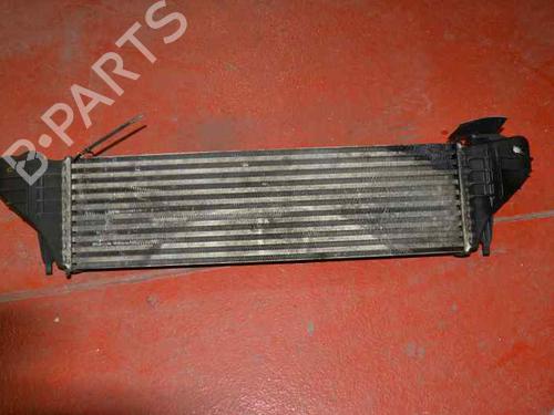 Intercooler BMW X5 (E53) 3.0 d | BP1168217M30 