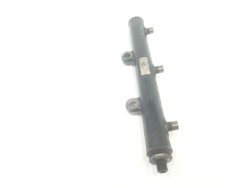 Injection rail LAND ROVER DISCOVERY III (L319) 2.7 TD 4x4 | BP20186829M98 