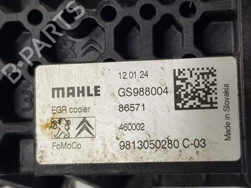 Egr PEUGEOT EXPERT Van (V_) 1.5 BlueHDi 100 | BP35789545M69 - Image 4
