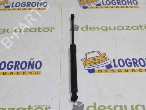 Hood lift support BMW 1 (E87) 120 d | BP14119534C139 
