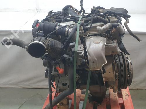 Engine NISSAN NAVARA NP300 (D40)  | BP26576427M1 