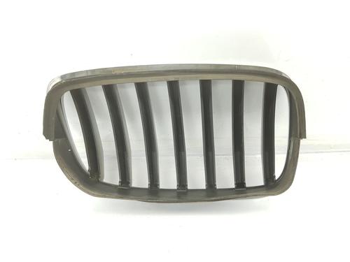 Grille BMW X6 (E71, E72) xDrive 40 d | BP13925089C40