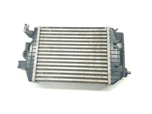 Intercooler Intercooler RENAULT ARKANA I (LCM_, LDN_) [2019-2026] 33630376 33630376