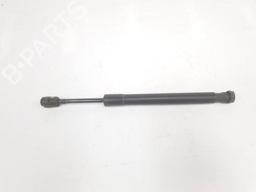 Gasdæmper bagklap AUDI A4 B7 (8EC) 2.0 TDI 16V (140 hp) 14093456