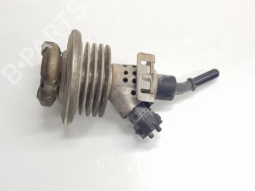 Used Injector Injector LAND ROVER RANGE ROVER SPORT II (L494) 3.0 TDV6 4x4 (258 hp) 33658931 33658931