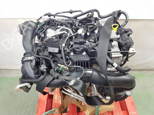 Engine FORD PUMA (J2K, CF7)  | BP36381604M1  - Image 9
